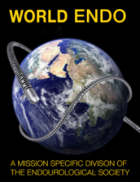 World Endo Logo